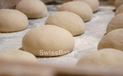 Dough Improvers vs Dough Conditioners: Are They the Same?