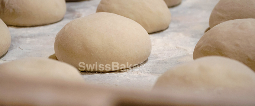 Dough-Improvers-vs-Dough-Conditioners-Are-They-the-Same-Advice-Prod107-1