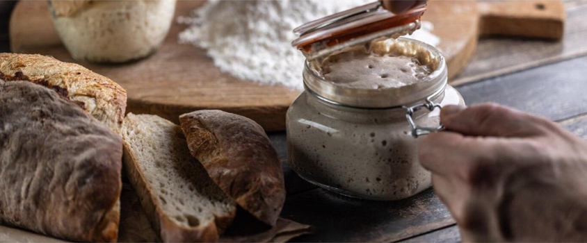 The-Basics-of-Sourdough-A-Bakers-Guide-Insights-Prod87-1