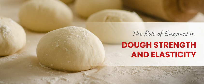 The-Role-of-Enzymes-in-Dough-Strength-and-Elasticity-Insights-Prod68-1