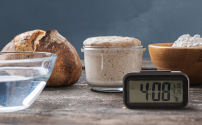 How Sourdough Powders Save Time for Professional Bakers?